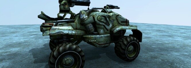 warthog1